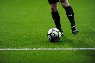 MILANSPORT入口-篮球专项体能训练恢复技术研究及实操方案，篮球体能训练30种方法及要求文库