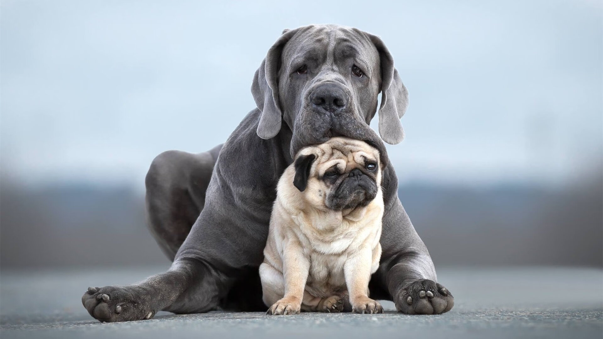 米兰体育-“武汉马拉松赛：决胜时刻，谁能迎风而上？”