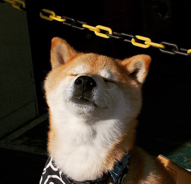 米兰体育-中超联赛中国女足逆袭 球迷为拼搏精神点赞，中超女足联赛2021