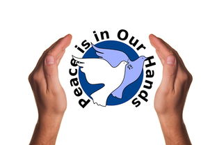 米兰体育-决赛教练战术对决吸引全球关注，比赛中教练挑战是什么意思