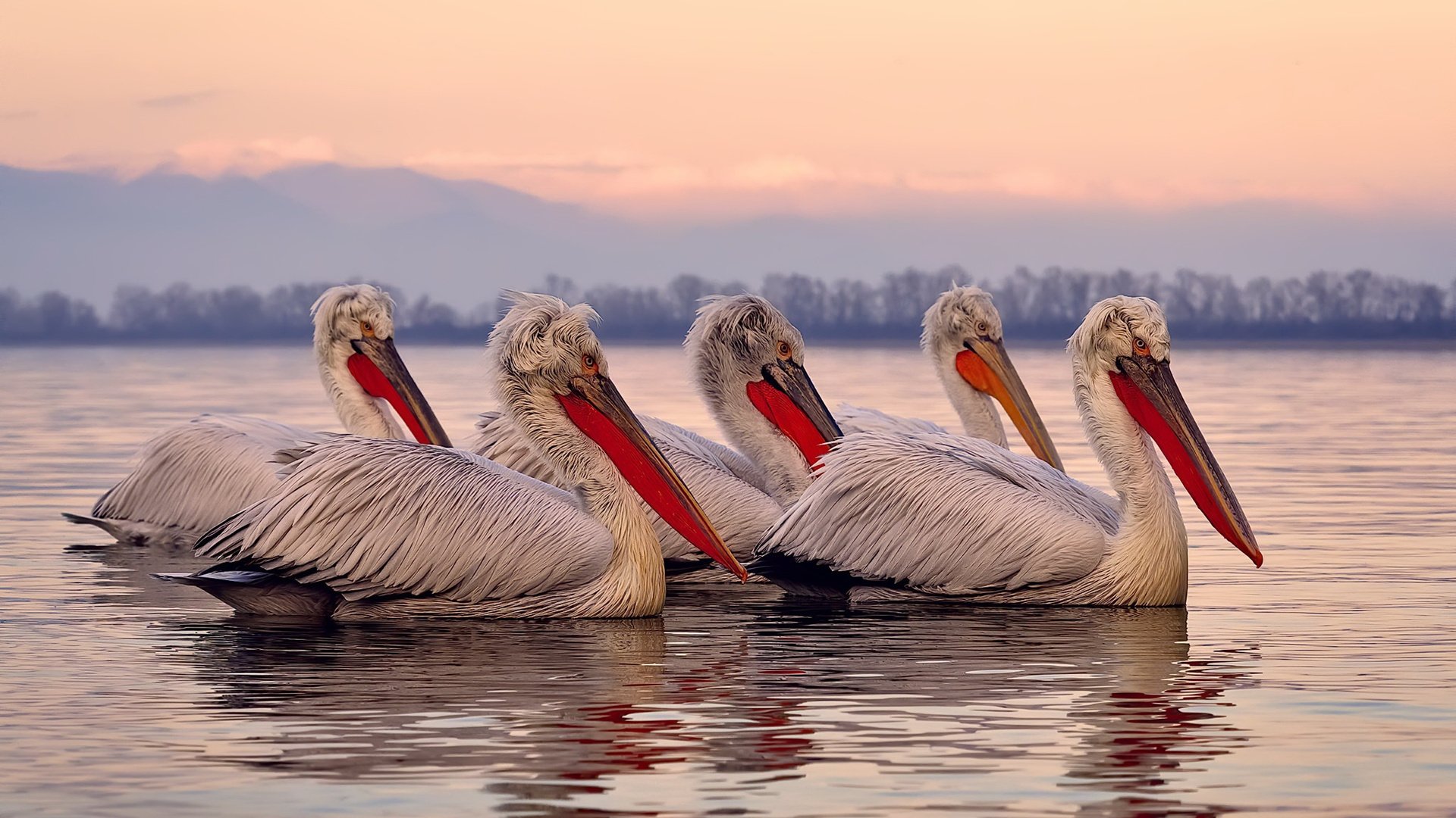 MILANSPORT下载-国际乒联公布最新排名，中国队稳居榜首，国际乒联公布最新排名,中国队稳居榜首