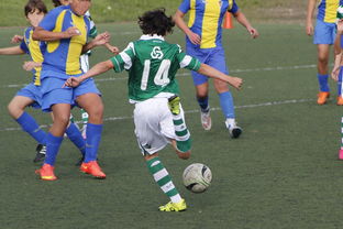 米兰体育官网-女篮亚洲杯中国队力压日本夺冠，亚洲杯女子篮球赛中国对日本