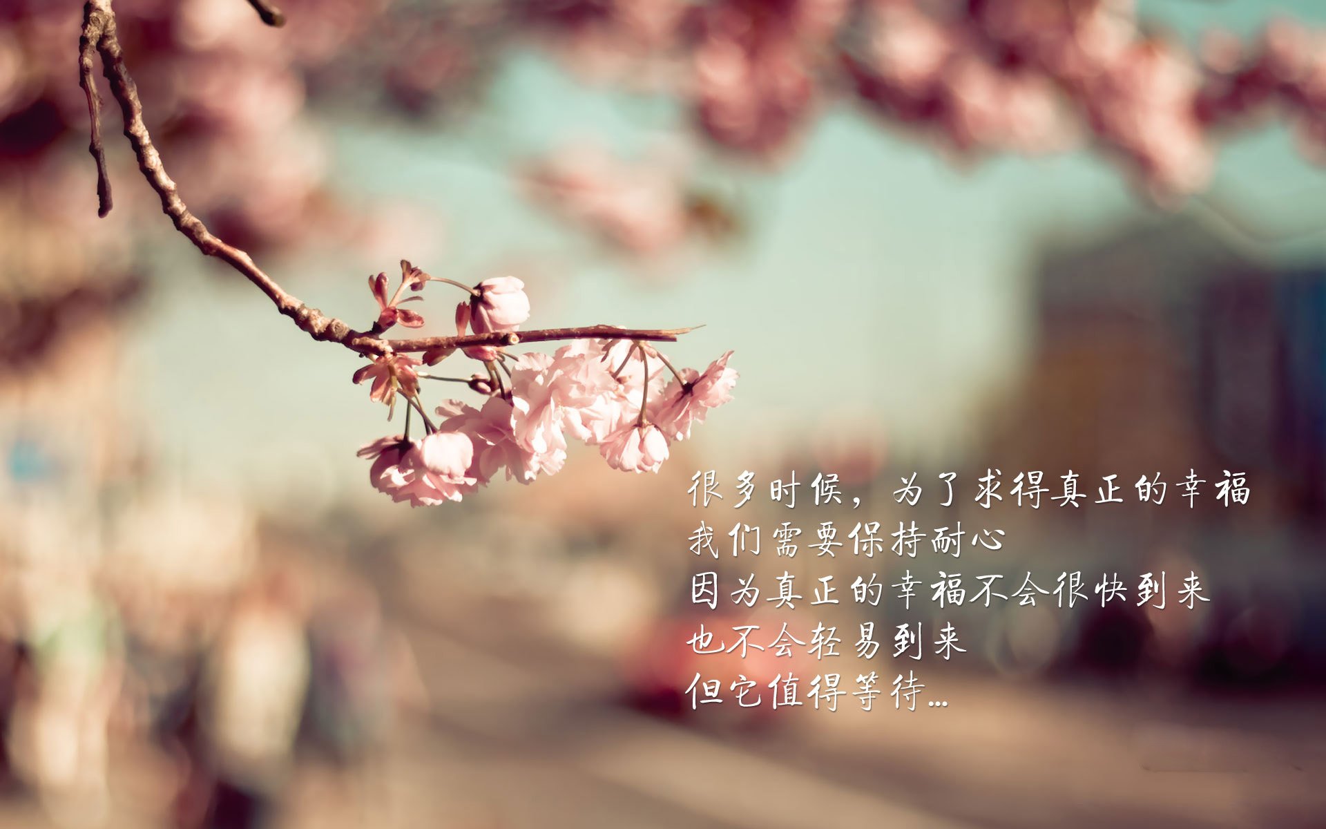 MILANSPORT入口-德国队未来潜力分析：国际乒联混合团体世界杯如何推动团队进化