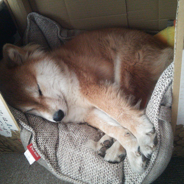 米兰体育官网-本土球员传控能力普遍不足，传控打法的球队