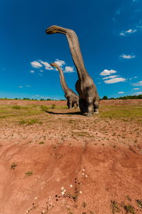 米兰体育APP-滑雪场寒假开放前安全演练全覆盖，滑雪场安全提示牌