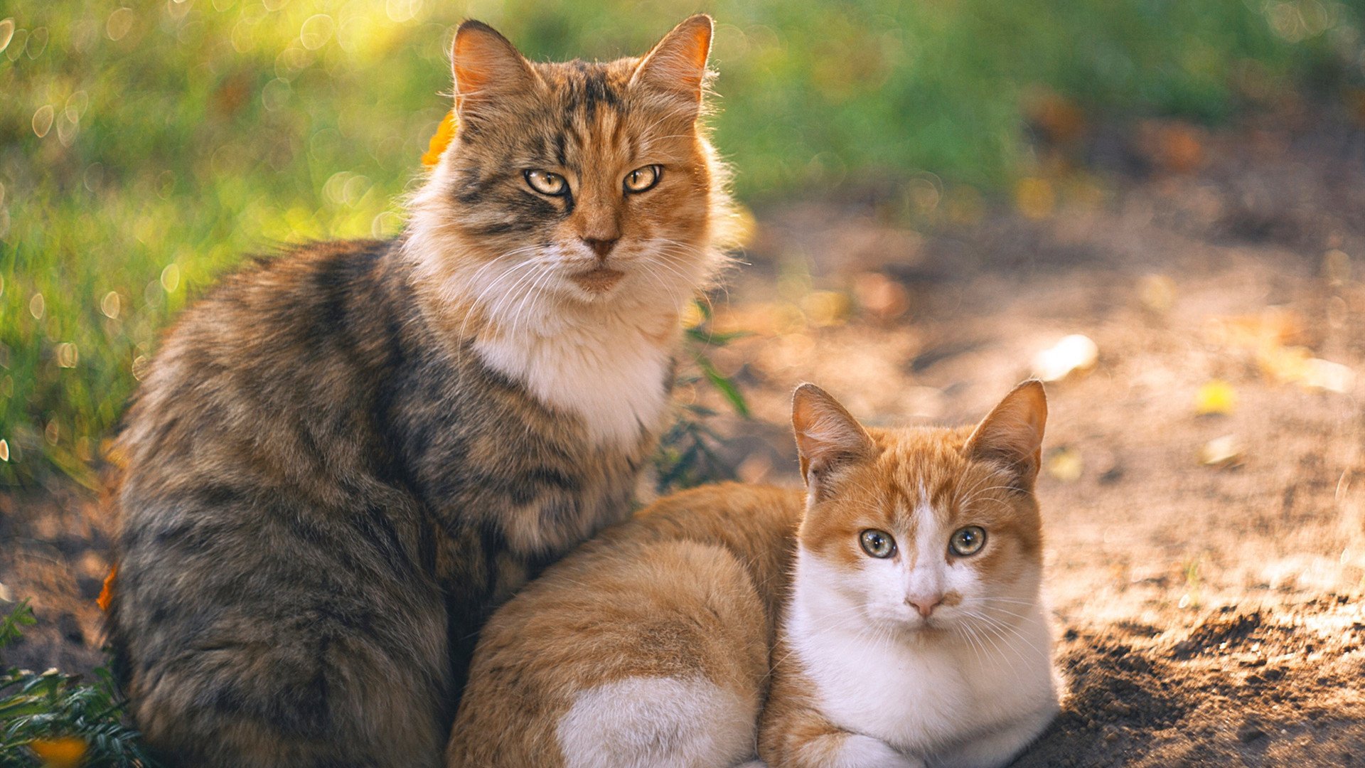 AC米兰-维拉中场推进快速拉开空间制造机会，维拉villa