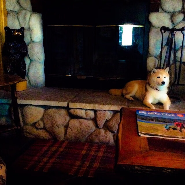 米兰体育-乔·波尔曼的全能表现使袋鼠队在橄榄球锦标赛中名列前茅，乔伯罗橄榄球