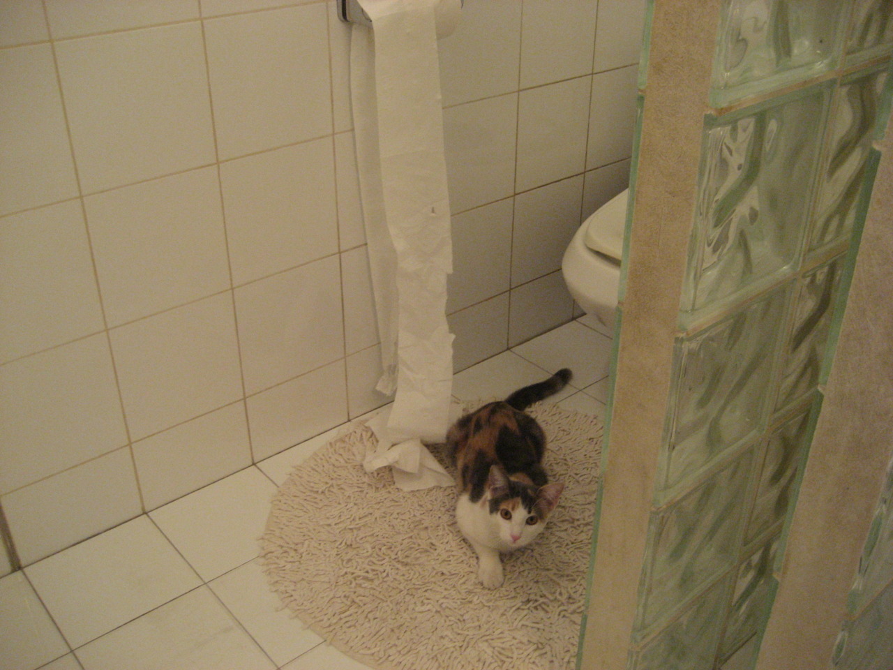 米兰登录入口-国家队推动战术专题片制作强化内部学习材料