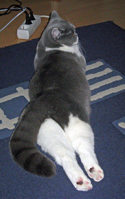 Milan Sports-掘金利用挡拆制造空位频繁得手