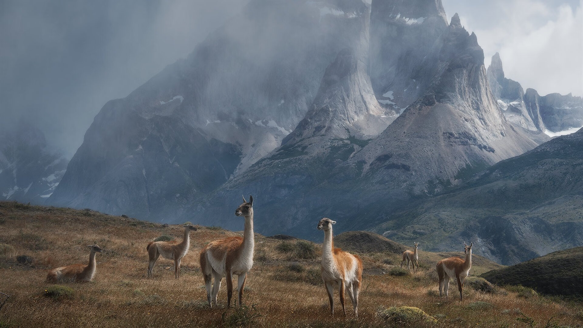 MILANSPORT下载-掘金官方发布赛前音乐激励视频,掘金比赛在线直播