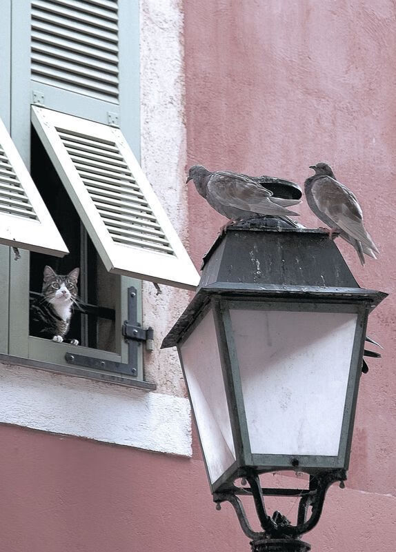 米兰体育APP-西甲俱乐部的环保绿色行动，西甲绿色队服